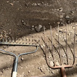 9 Mixed Garden Tools With Wood Handles