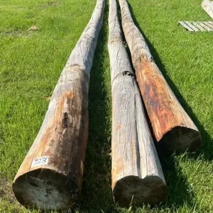 Lot of 3 Used Power Poles up to 30FT Long.