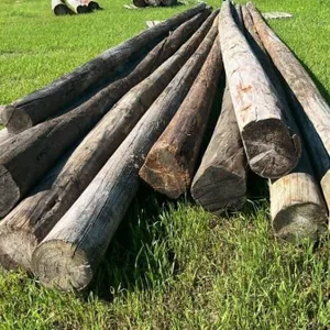 Lot of 10 Used Power Poles, Up to 40FT Long.