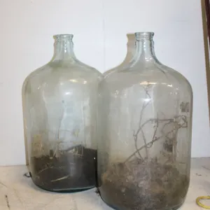 Glass Carboys