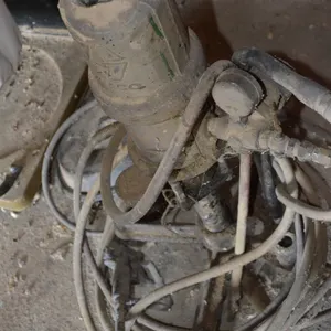 Antique Dustless Painter