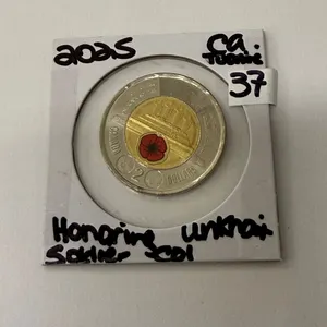2025 Uncirculated Canada Honouring Unknown Soldier COL Two Dollar Poppy Toonie Coin