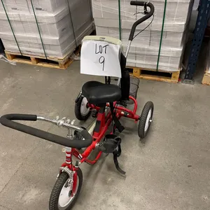 Physical Therapy Trike
