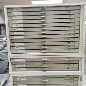 Assorted Vivodent Denture Teeth with Organizer