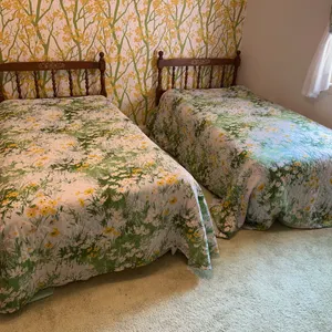 Pair of Twin Hitchcock Style Beds