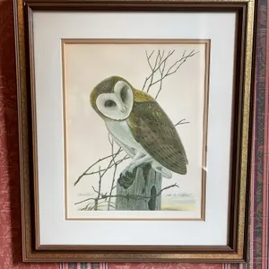 John Ruthven “Barn Owl” Lithograph