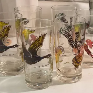 Six Wildlife-Themed Drinking Glasses with Bird Illustrations
