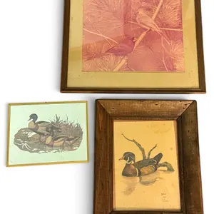 Three Framed Bird Prints Featuring Cardinals and Ducks