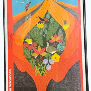 Framed Charlie Harper Hawaii Volcanoes Lithograph Print Poster