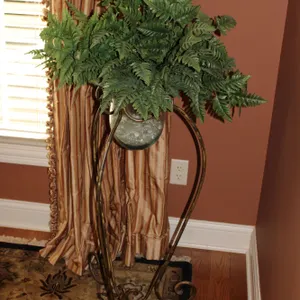 Plant Stand & Fern