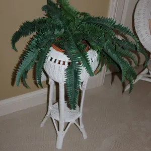 Fern Plant Stand