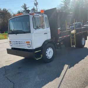 1993 MACK MS250 SINGLE AXLE REGULAR CAB FLATBED TRUCK VIN: VG6M116A5PB100996