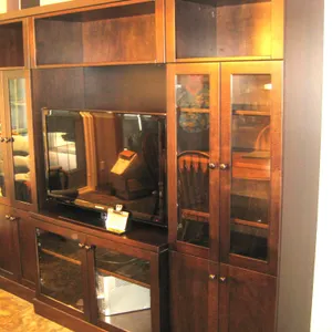 Entertainment Unit