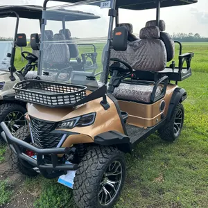 2026 UNUSED SDLOOL OFF-ROAD GOLF CART SL-GC22S