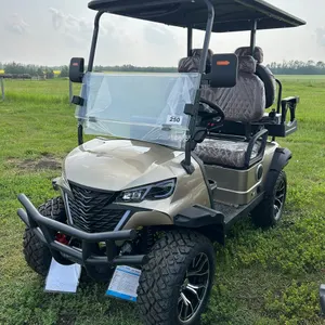 2026 UNUSED SDLOOL OFF-ROAD GOLF CART SL-GC22S