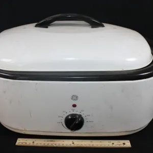 Electric Roaster