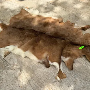 Deer Hide Rug