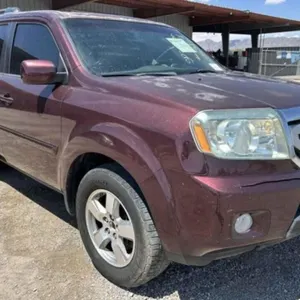 (TX) 2011 Honda Pilot