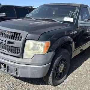 (CA) 2009 Ford F-150