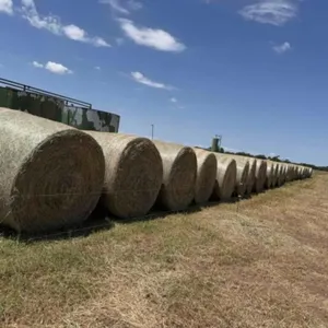 30- Round Bales Bermuda/Crabgrass/Stickers