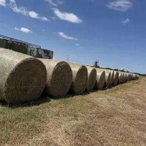 30- Round Bales Bermuda/Crabgrass/Stickers