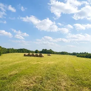 Old Mill Road, Baxter