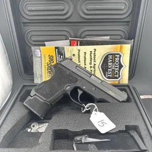 Sig P224 SAS 357 
one 10 round clip, one 12