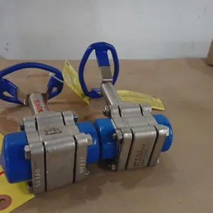 Lot of (2) SVF Valves
