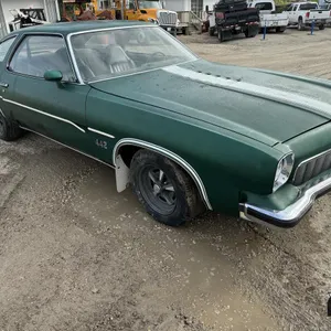 1973 Oldsmobile 422 Car