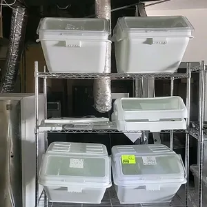 Assorted poly ingredient bins with extra lids. Includes (4) white plastic ingredient bins with clear flip-top lids, plus additional spare lids and fra