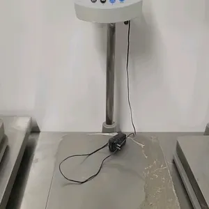 CAS BW-60 digital platform scale. Features a 150 lb capacity (150 lb x 0.05 lb / 60 kg x 20 g), stainless steel weighing platform, and a column-mounte