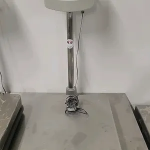 CAS BW-150 digital platform scale. Features a 300 lb capacity (300 lb x 0.1 lb / 150 kg x 50 g), stainless steel weighing platform, and column-mounted