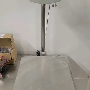 CAS BW-150 digital platform scale. Features a stainless steel weighing platform, column-mounted digital indicator, and functions for zero, tare, net/g