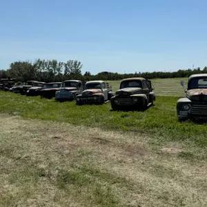 Featuring the Dan and Julie Meier Acreage Auction