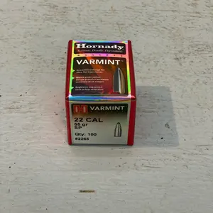 .22 CAL BULLETS
