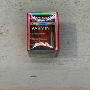 .22 CAL BULLETS