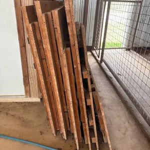 Hardwood Gym Flooring