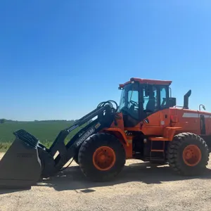 2013 Doosan  DL250TC Wheel Loader