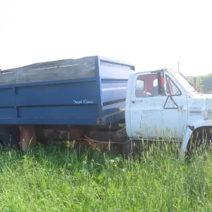 1976 GMC 6000 Grain Truck – V8 366 Engine, 14FT Box, Single Axle Dually, 5-Spd, Runs