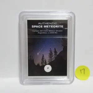 Authentic Space Meterorite (We Cannot Prove Authenticity)