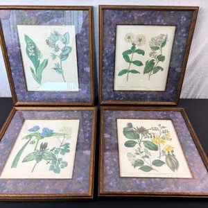 Framed Floral Prints