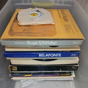 Tote with assorted Records