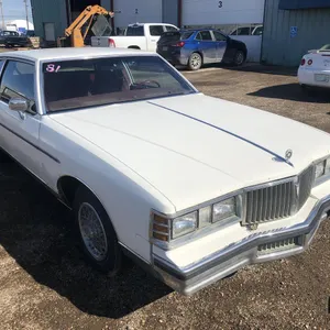 1981 Pontiac Parisienne Car