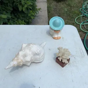 Beach Decor