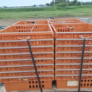 32 - Plastic Crates