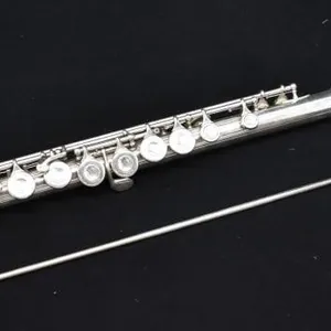 SELMER FL300 FLUTE IN BLUE-FELT CASE