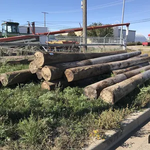 Assorted Power Poles
 UNRESERVED