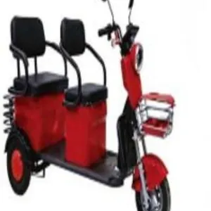 Electric Tricycle