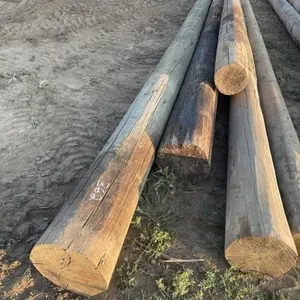 POWER POLES (X5)