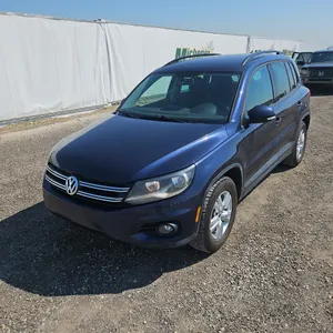 2015  Volkswagen  Tiguan